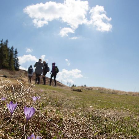 Lake Peak Apartments, Ribnisko Pohorje Ribnica na Pohorju Buitenkant foto