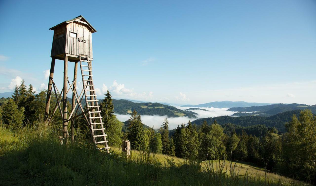 Lake Peak Apartments, Ribnisko Pohorje Ribnica na Pohorju Buitenkant foto