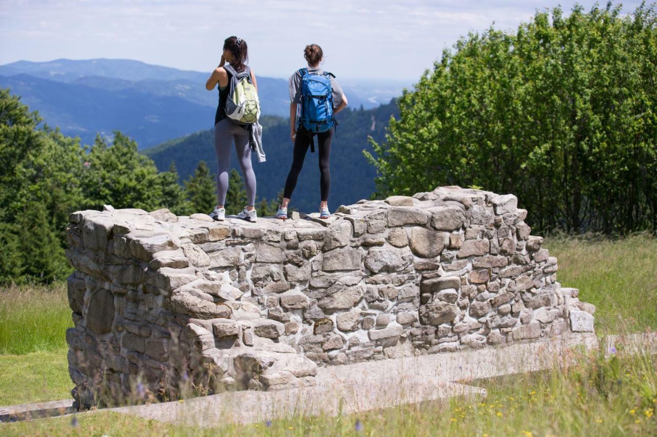 Lake Peak Apartments, Ribnisko Pohorje Ribnica na Pohorju Buitenkant foto