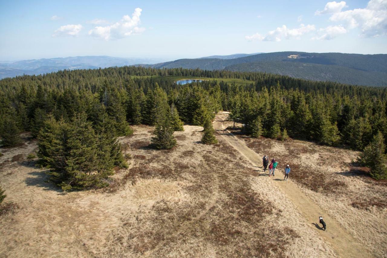Lake Peak Apartments, Ribnisko Pohorje Ribnica na Pohorju Buitenkant foto