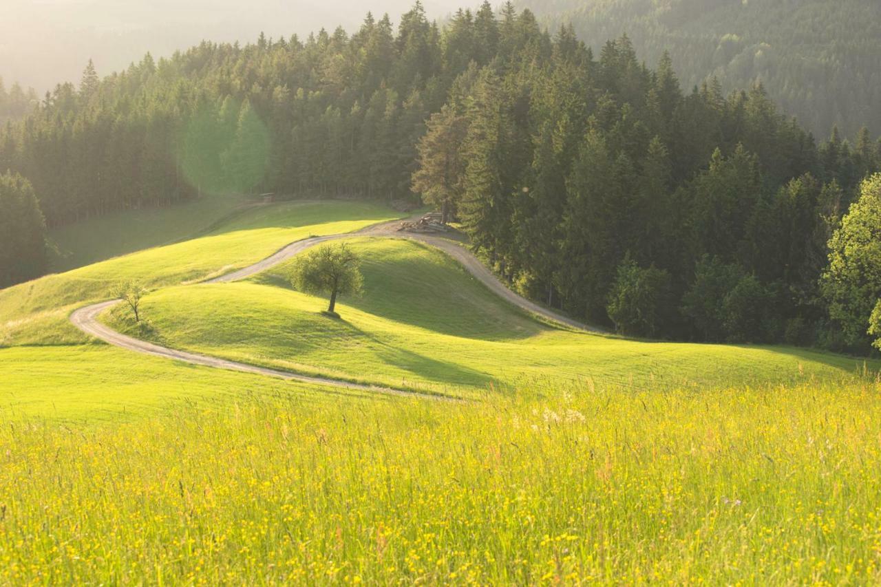 Lake Peak Apartments, Ribnisko Pohorje Ribnica na Pohorju Buitenkant foto
