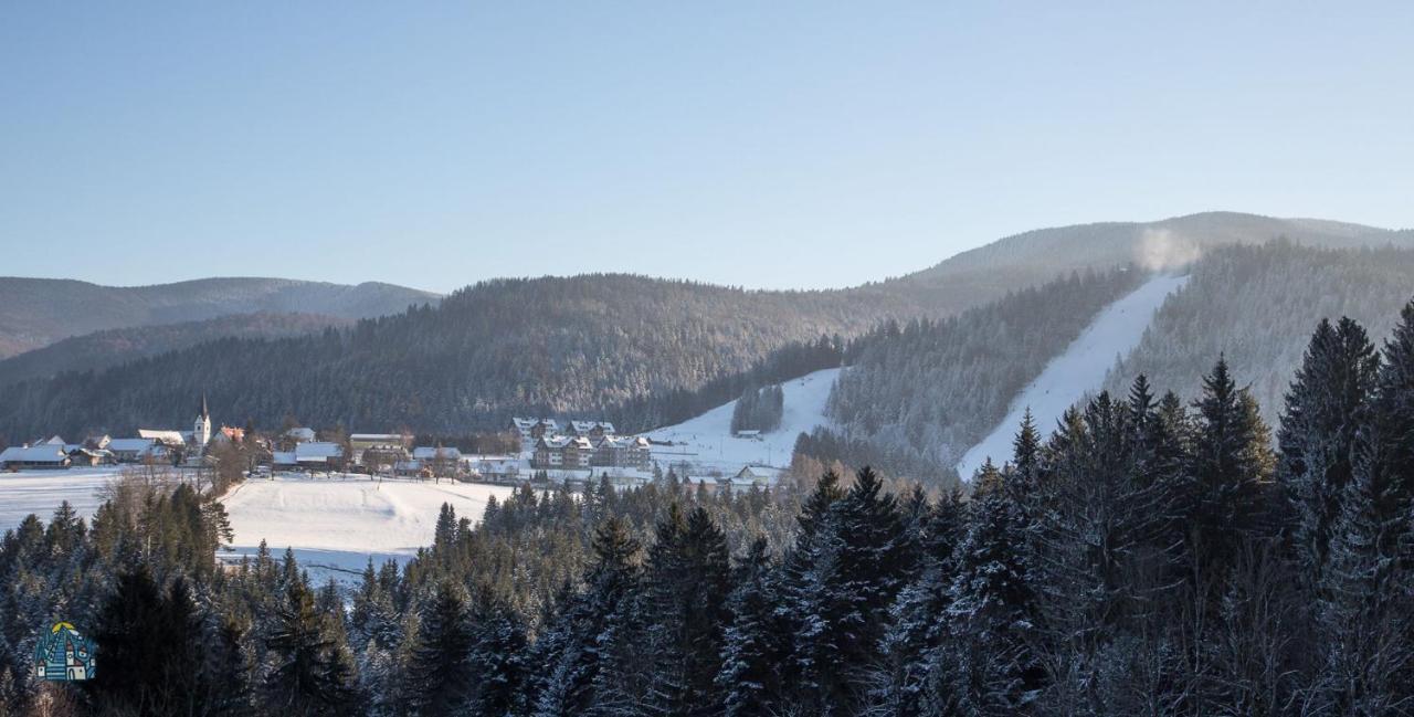 Lake Peak Apartments, Ribnisko Pohorje Ribnica na Pohorju Buitenkant foto