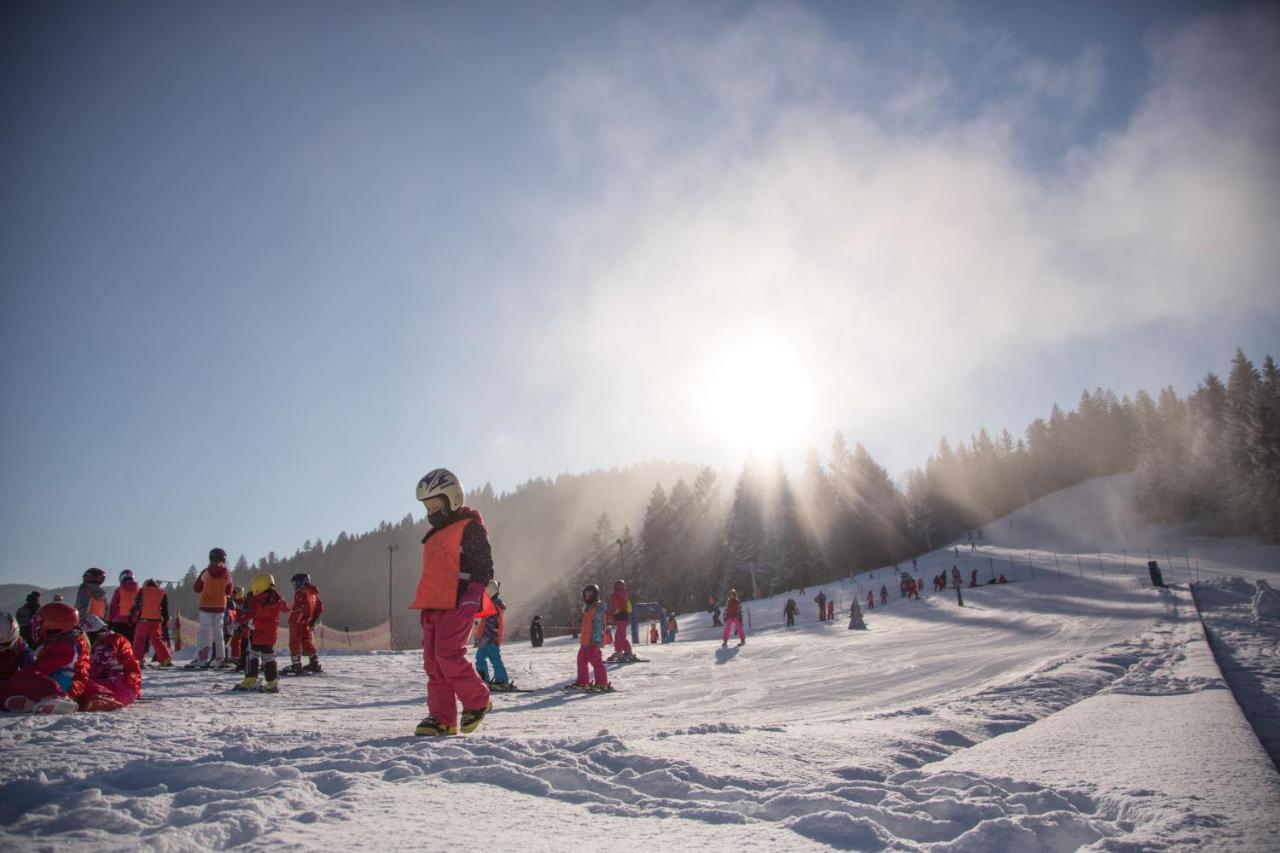 Lake Peak Apartments, Ribnisko Pohorje Ribnica na Pohorju Buitenkant foto